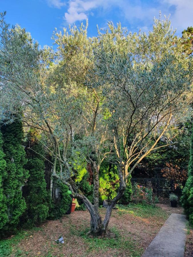 포르토로즈 Cypress Garden 아파트 외부 사진